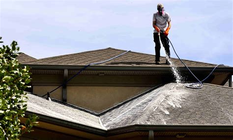 affordable roof cleaners companies in my area